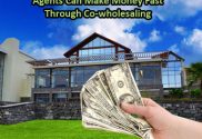 Agents Can Make Money Fast Through Co-wholesaling